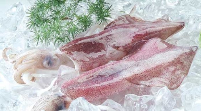 How to Clean Ink Tubes and Octopus, No More Odor