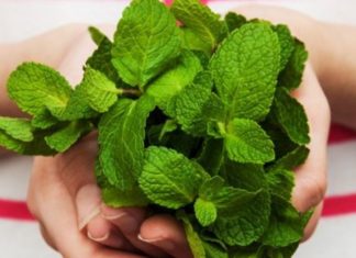 Herbal Bundles Proven to Reduce Acne and Freckles at a Low Cost