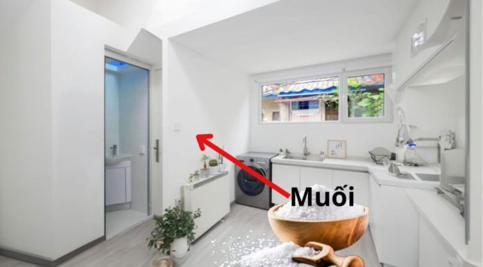 The Amazing Uses of Keeping a Salt Bowl in Your Bathroom: Save Money and Keep Your Bathroom Clean