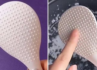 The reason why ants always dig circles: You may not know their effects even after decades