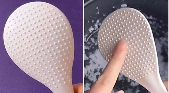 The reason why ants always dig circles: You may not know their effects even after decades