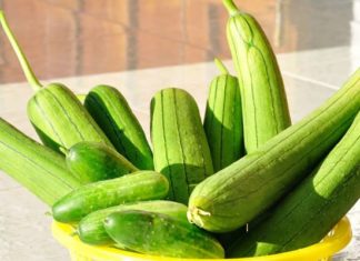 9 Affordable and Safe Vegetables to Buy at the Market