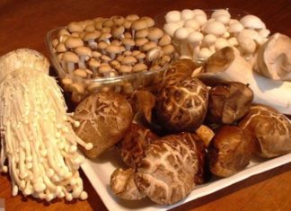 Buy mushrooms guaranteed to be “top-notch” just by looking at this point, fresh and delicious mushrooms for your taste.