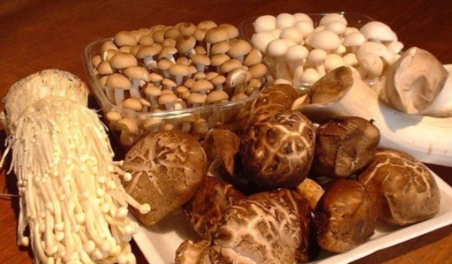 Buy mushrooms guaranteed to be “top-notch” just by looking at this point, fresh and delicious mushrooms for your taste.