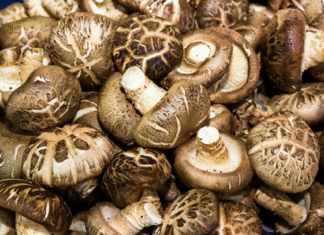 3 Tips for Choosing Fresh and Delicious Shimeji Mushrooms