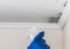 Effective Tips to Remove Mold on Bathroom Ceiling
