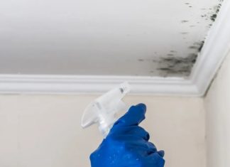 Effective Tips to Remove Mold on Bathroom Ceiling