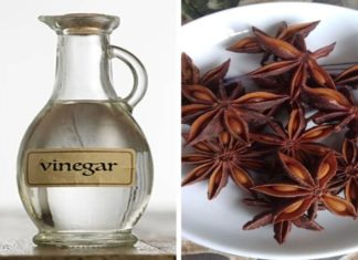 Uncovering the Unexpected Uses of Anise Soaked in White Vinegar