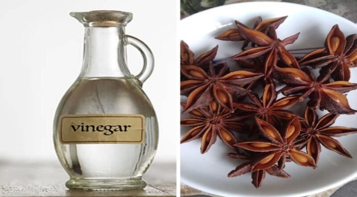 Uncovering the Unexpected Uses of Anise Soaked in White Vinegar