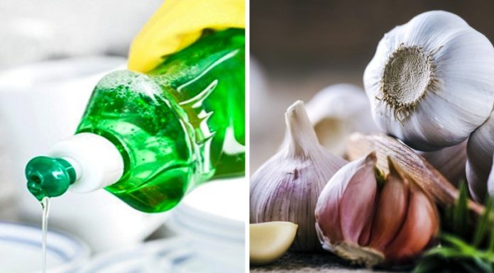 Quickly Make an Effective Cockroach Killer with Garlic and Dishwashing Liquid