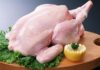 Who should avoid eating duck meat?