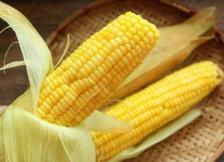 Cooking corn only with water is wrong, add these 2 seasonings to ensure the corn kernels are super sweet, everyone loves it.