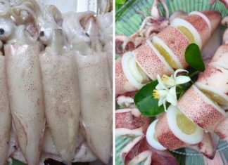 Incredible Feat of Manufacturing Fake Squid Ink Leaves People Spellbound