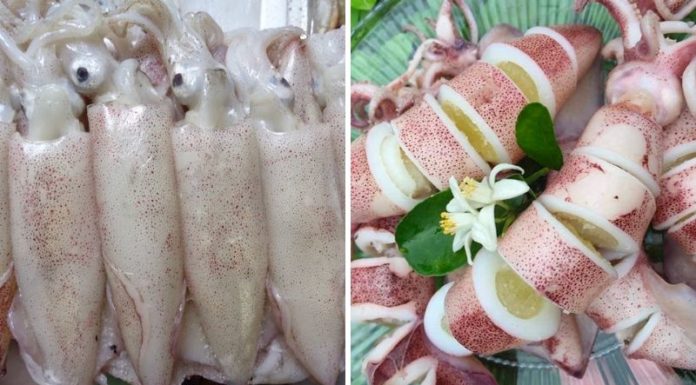 Incredible Feat of Manufacturing Fake Squid Ink Leaves People Spellbound