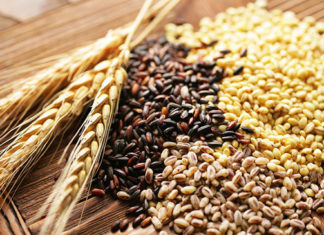 Exploring the Advantages of Consuming Whole Grains