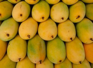Uncover How to Choose the Perfect Hoa Loc Mangoes for Maximum Taste and Freshness