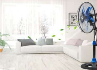 Examining the Correlation Between Fandom and Hotter Summers