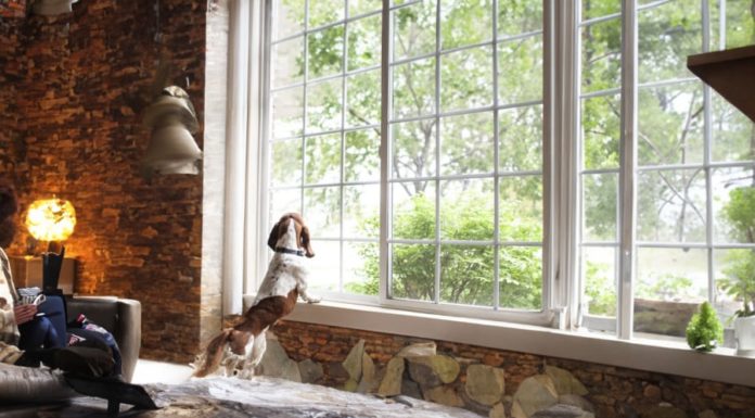 Tips for Fresh and Dry Home in Wet and Humid Weather