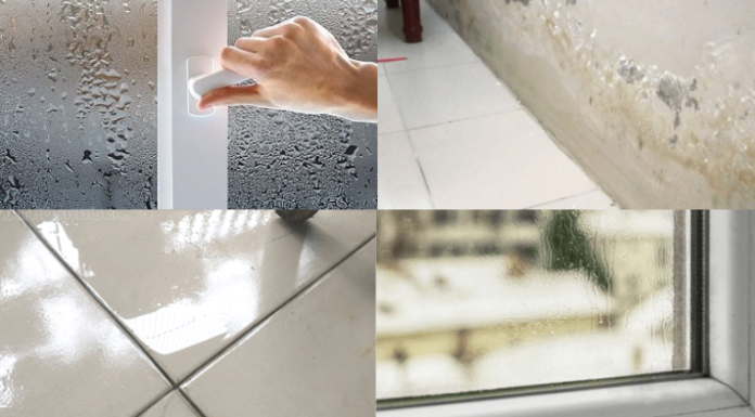 5 Tips for quickly drying your home and belongings in humid weather