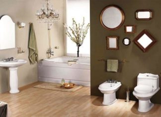 8 Ways to Prevent Snakes, Mice, Cockroaches, Spiders, and Lizards from Appearing in Your Bathroom and Toilet at Home