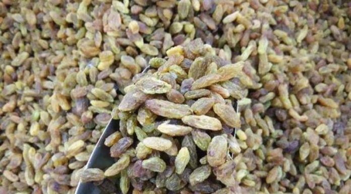 Dirtiest Raisins, Eat Comfortably Without Thinking with this Extra Step