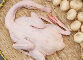 Effective Ways to Remove Duck Hair and Eliminate Odor