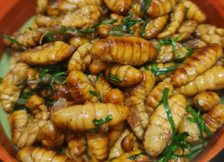 People Who Shouldn’t Eat Silkworm Pupae