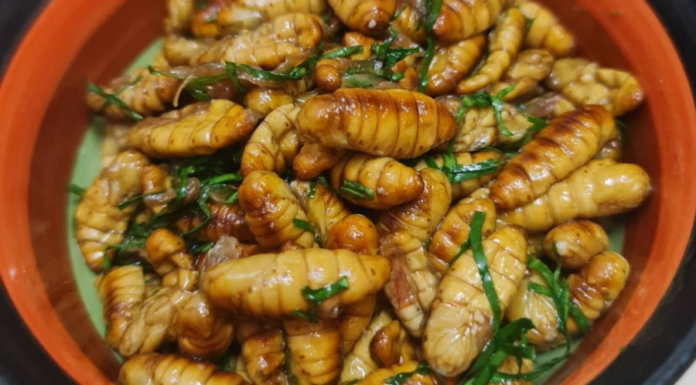People Who Shouldn’t Eat Silkworm Pupae