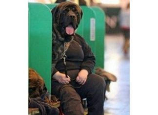 9 Funny Photos You Could Easily Mistake as Artworks