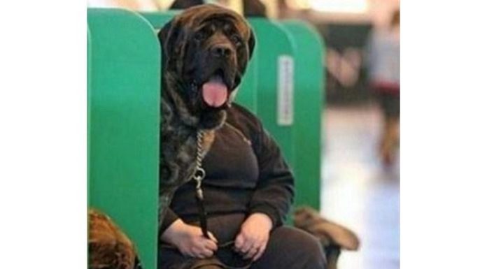 9 Funny Photos You Could Easily Mistake as Artworks