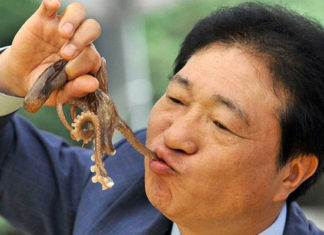 Incredible Terror Elicited by Raw Foods