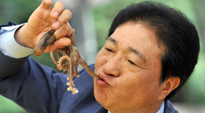 Incredible Terror Elicited by Raw Foods