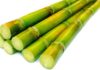 Uncover the Surprising Health Advantages of Sugarcane Juice