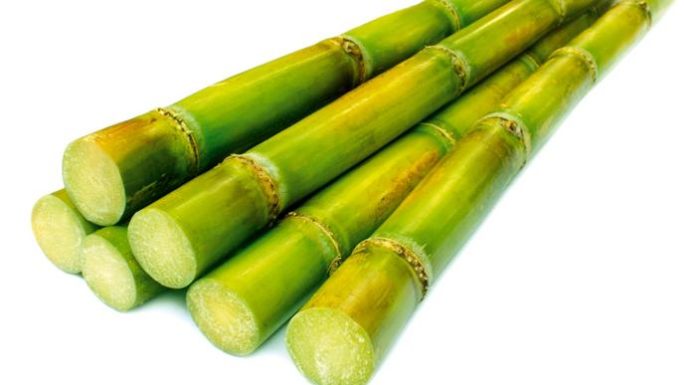 Uncover the Surprising Health Advantages of Sugarcane Juice