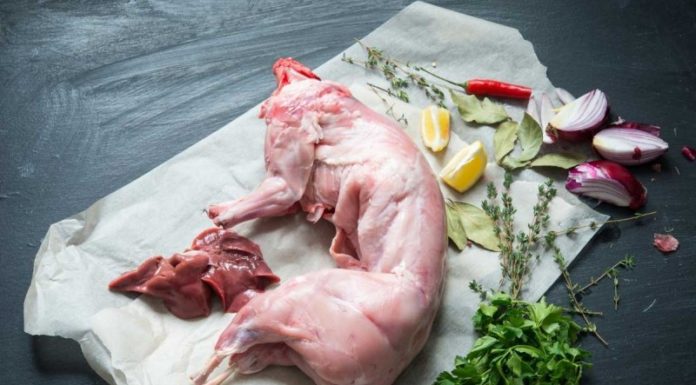Avoid Combining Rabbit Meat with These Foods