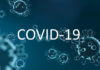 Analyzing Distinctions Between Covid-19 and Seasonal Flu Respiratory Illnesses