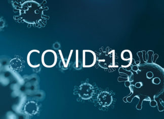 Analyzing Distinctions Between Covid-19 and Seasonal Flu Respiratory Illnesses