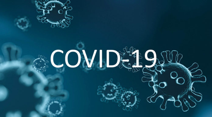 Analyzing Distinctions Between Covid-19 and Seasonal Flu Respiratory Illnesses