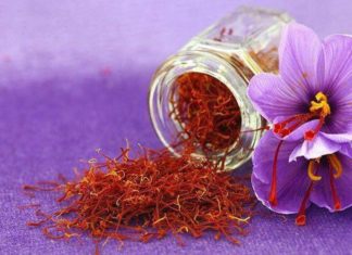 Beauty Tips from Expensive Red Dahlias to Help You Achieve Ageless Skin