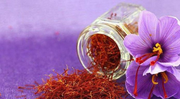 Beauty Tips from Expensive Red Dahlias to Help You Achieve Ageless Skin