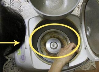 There’s a small ‘agency’ in the rice cooker, save half of the electricity bill