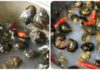How to Clean Snails Effectively