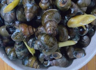 Tips for Selecting and Preparing Bitter Melon