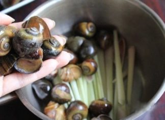 The secret to having clean, delicious boiled snails without any fishy taste
