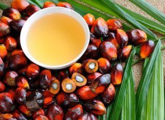 Investigating the Use of Palmitic Acid in Beauty Products