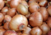 How to Choose the Perfect Onions for Your Dishes