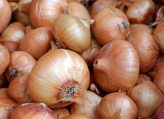 How to Choose the Perfect Onions for Your Dishes
