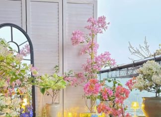 4 Magic Powders Everyone is Throwing Away, Burying under Potted Plants, Green Leaves and Beautiful Flowers All Year Round