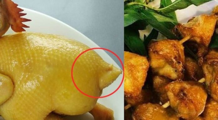 National Dish: 5 Ways to Prepare Chicken Meat, Do Not Miss Out and Stay Away
