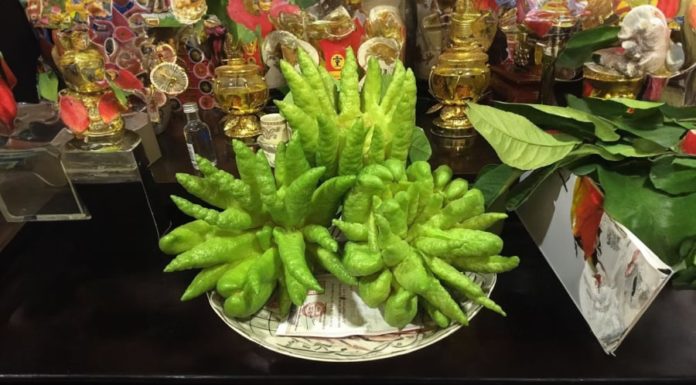 The Mystical Significance of Buddha’s Hand Fruit: A Guide to Unlocking Its Secrets, Freshness, and Prosperity